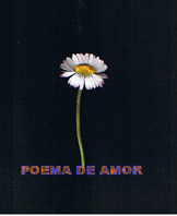 poema de amor copyright nel amaro courtesy from the artist to klauss van damme all rights reserved
